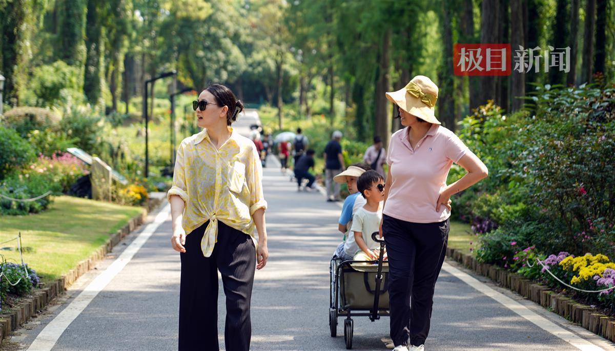 大豪客开奖登录